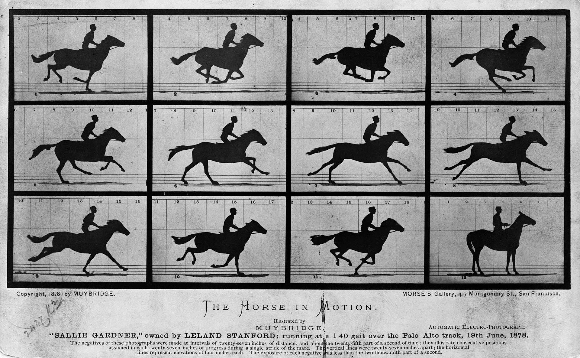The horse in motion by Eadweard Muybridge as one of the first small multiple technique